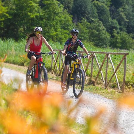 I Laghee Casette Breva E Tivano -Garden-Parking-Lake View - Bike Friendly Holiday House Colico Exterior foto