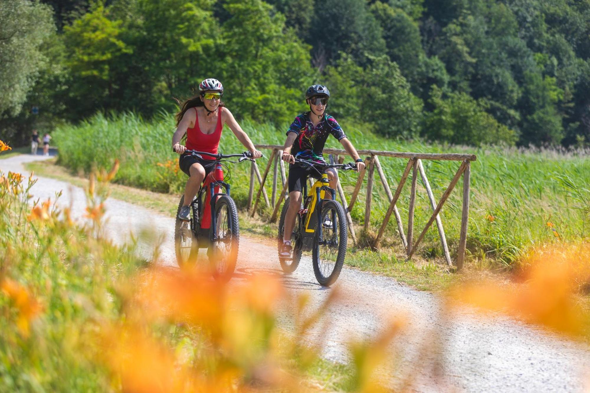 I Laghee Casette Breva E Tivano -Garden-Parking-Lake View - Bike Friendly Holiday House Colico Exterior foto